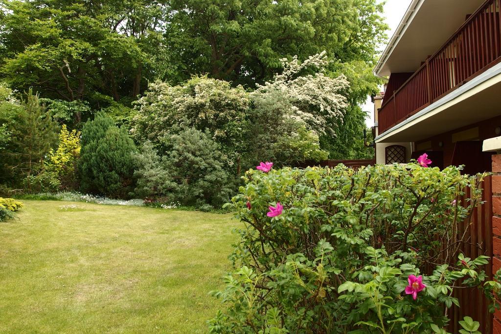 Patio Apartamenty I Pokoje Niechorze Ngoại thất bức ảnh
